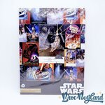 Affiches-Poster-Art-Star-Wars-Disneyland-Paris-2022-Disney-set-de-9 (3)