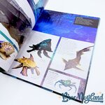 Livre-Avatar-Le-Guide-de-Pandora-Qilinn-2022 (3)