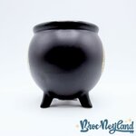 Tasse-Chaudron-Reine-Sorcière-Disneyland-2019-mug-Disney-Blanche-Neige-Evil-Queen-noir (2)