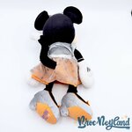 Peluche-minnie-Mouse-Happy-Halloween-Disney-Parks-2021-Disneyland-chat-noir-orange-34-cm (5)
