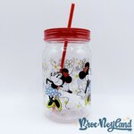 Gobelet-paille-Minnie-Mouse-rétro-vintage-Disney-Store-verre-plastique-fleurs (3)