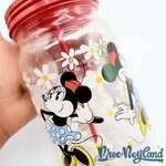 Gobelet-paille-Minnie-Mouse-rétro-vintage-Disney-Store-verre-plastique-fleurs (1)
