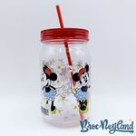 Gobelet-paille-Minnie-Mouse-rétro-vintage-Disney-Store-verre-plastique-fleurs (2)