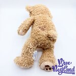 Peluche-Duffy-classique-The-Disney-Bear-Tokyo-Disney-Sea-Japon-ours-marron-44-cm (3)