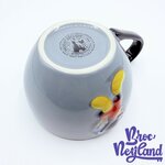 Bol-Mickey-Mouse-Disneyland-Paris-2018-mug-Disney-trou-déchiré-gris (4)