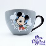 Bol-Mickey-Mouse-Disneyland-Paris-2018-mug-Disney-trou-déchiré-gris (3)