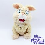 Peluche-Miss-Bunny-Disneyland-Paris-Disney-Bambi-lapin-crème-poils-longs-26-cm (5)