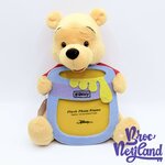 Peluche-Cadre-Winnie-ourson-Hunny-pot-de-miel-Disney-Store-photo-bleu-28-cm (3)