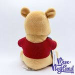Peluche-Cadre-Winnie-ourson-Hunny-pot-de-miel-Disney-Store-photo-bleu-28-cm (2)
