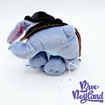 Peluche-Stitch-Vampire-Disneyland-Paris-Disney-Lilo-et-Stitch-monstre-bleu-chapeau-22-cm (3)