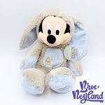 Peluche-Mickey-Mouse-Lapin-Pâques-Disney-Store-2013-Chocolate-Scented-écusson-38-cm (4)
