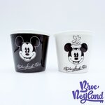 Tasses-Expresso-Mickey-Minnie-All-started-with-a-Mouse-Disneyland-mug-Disney-duo-noir-blanc (2)