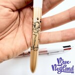 Coffret-Stylos-BIC-4-Couleurs-Simba-Nala-Disneyland-Paris-Disney-Le-Roi-Lion (4)