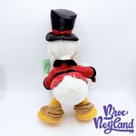 Peluche-Oncle-Picsou-Disneyland-Paris-Disney-canard-canne-billet-articulée-44-cm (2)