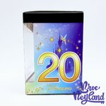 Figurine-Vinylmation-Minnie-Mouse-20ème-anniversaire-Disneyland-Paris-20-ans-Disney-Vinyl-3-Collectible-Figure (5)