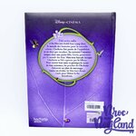 Livre-Clochette-et-expédition-féérique-Disney-Les-Fées-Disney-Cinema-Hachette-Jeunesse-2009 (3)