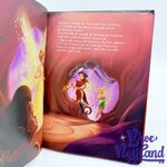 Livre-Clochette-et-la-Pierre-de-Lune-Disney-Les-Fées-Disney-Cinema-Hachette-Jeunesse-2009 (4)