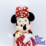 Peluche-Minnie-Mouse-Disney-Chef-Disneyland-Paris-2018-gâteau-cupcake-28-cm (5)