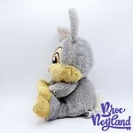 Peluche-Panpan-Big-Feet-Disney-Parks-Disneyland-Bambi-lapin-gris-gros-pieds-34-cm (6)