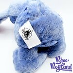 Peluche-Stitch-Big-Feet-Disney-Parks-2021-Disneyland-Lilo-et-Stitch-monstre-bleu-30-cm (6)