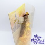 Poupée-Belle-La-Belle-et-la-Bête-Disney-Parks-Collection-princesse-boite (9)