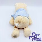 Peluche-Winnie-ourson-doudou-Disney-Store-Exclusive-pastel-écusson-32-cm (5)