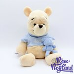 Peluche-Winnie-ourson-doudou-Disney-Store-Exclusive-pastel-écusson-32-cm (4)