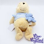 Peluche-Winnie-ourson-doudou-Disney-Store-Exclusive-pastel-écusson-32-cm (1)