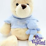 Peluche-Winnie-ourson-doudou-Disney-Store-Exclusive-pastel-écusson-32-cm (3)