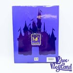 Livre-Walt-Disney-100-ans-de-Magie-Disney-Editions-France-Loisirs-2001 (1)