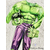 déguisement-incroyable-hulk-marvel-avengers-combinaison-vert-masque-gants-0