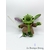 Peluche-Stitch-Yoda-Disneyland-Paris-Disney-Lilo-et-Stitch-Star-Wars-24-cm (6)