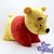 Coussin-Winnie-ourson-Disney-Parks-Disneyland-Paris-peluche-oreiller-pliable-jaune (3)