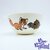 Bol-Rox-et-Rouky-Disney-Plastorex-vintage-mélamine-renard-chien (5)