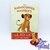 Livre-Audiocontes-Magiques-Le-roi-lion-Disney-Altaya-encyclopédie-figurine (3)