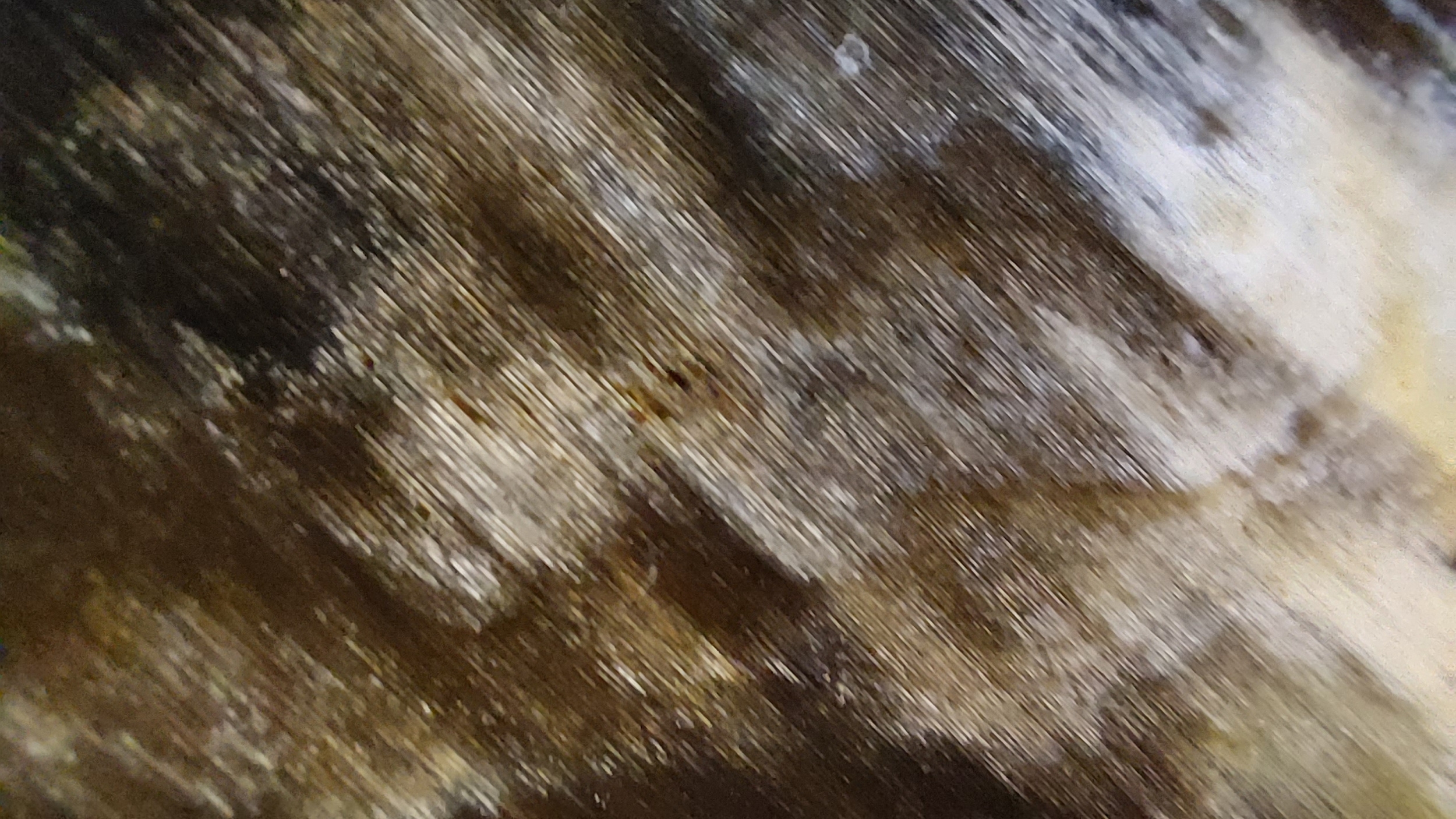 20221105_110311