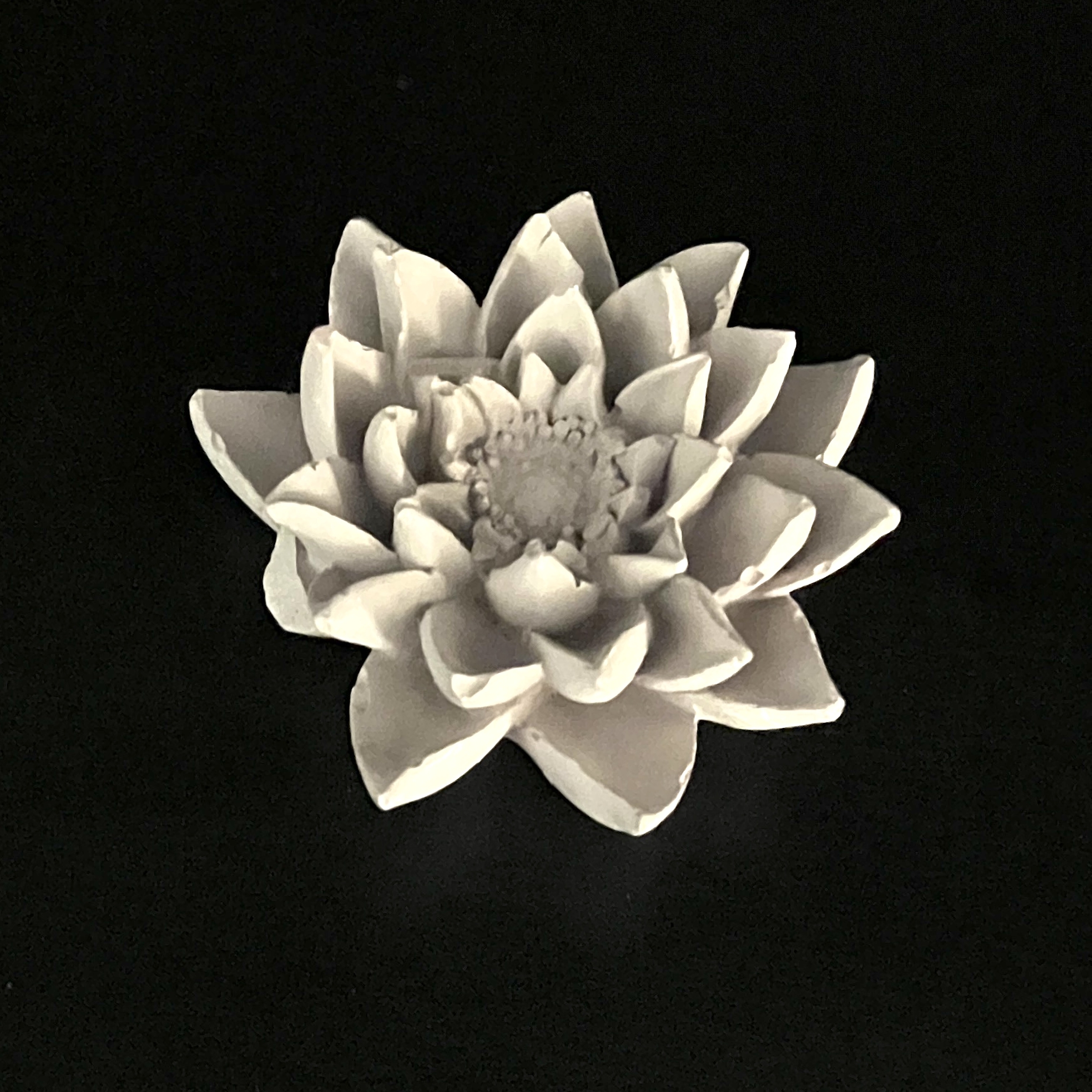 Galet_lotus3