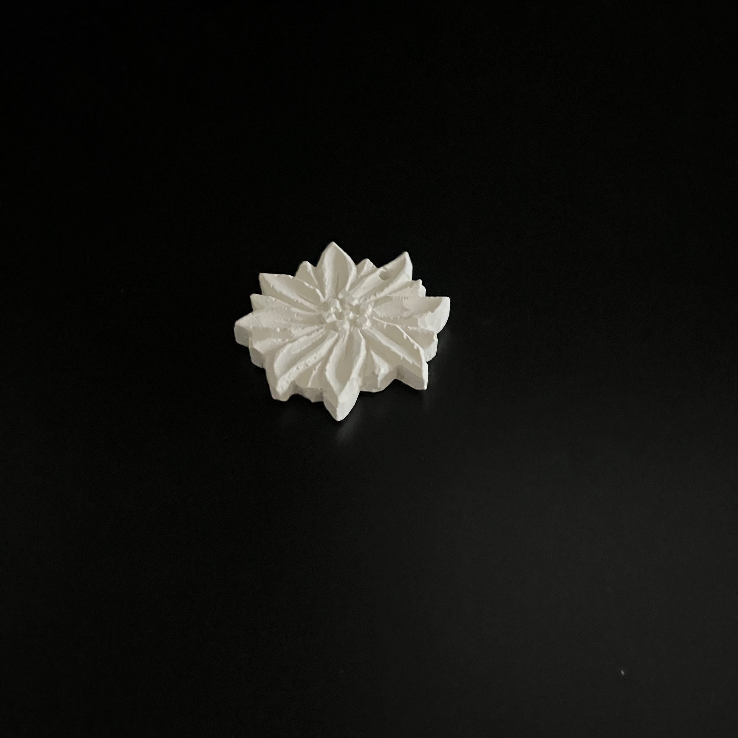 Galet_coeur_et_fleur_edelweiss3