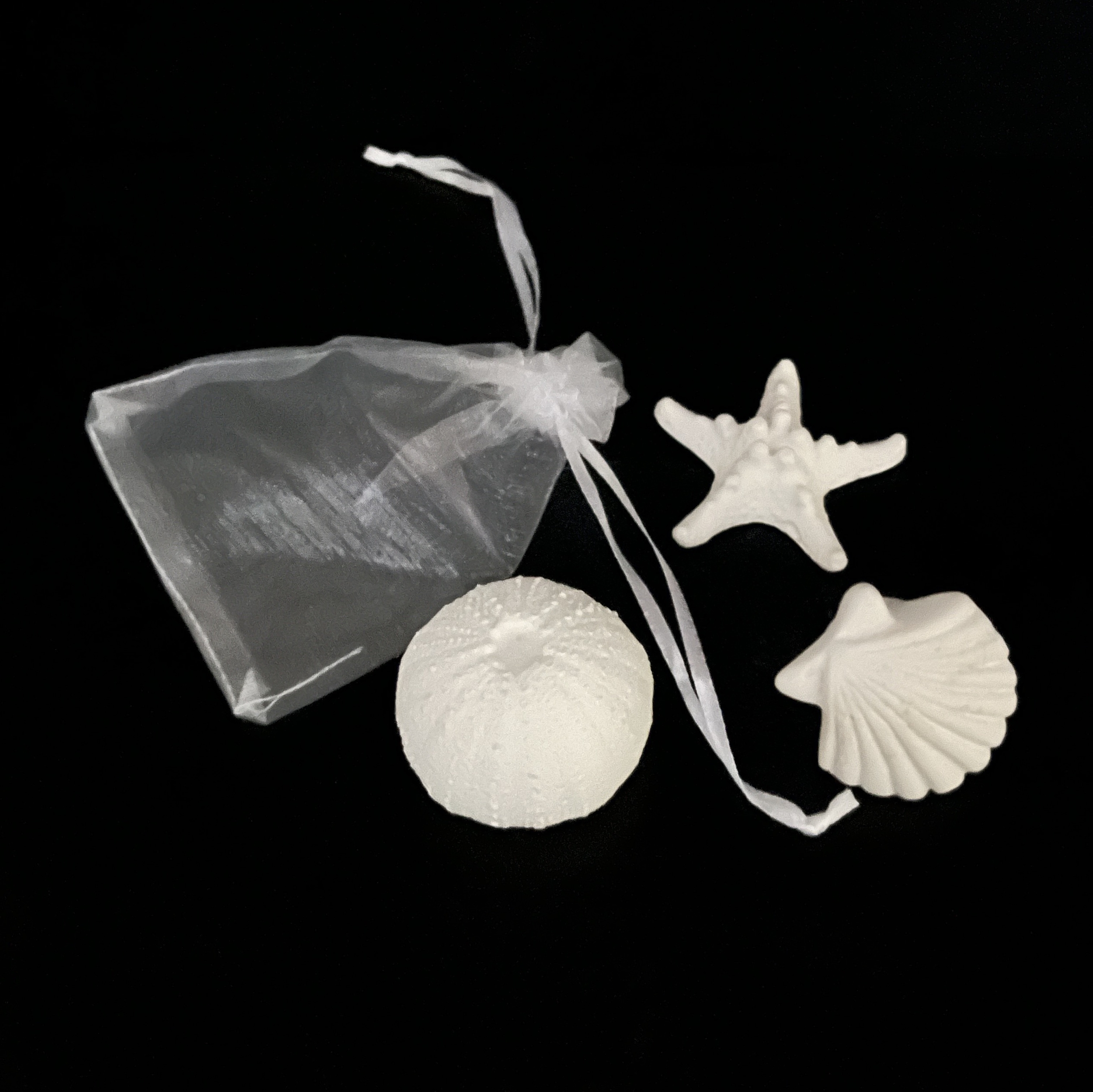 Galet_coquillage