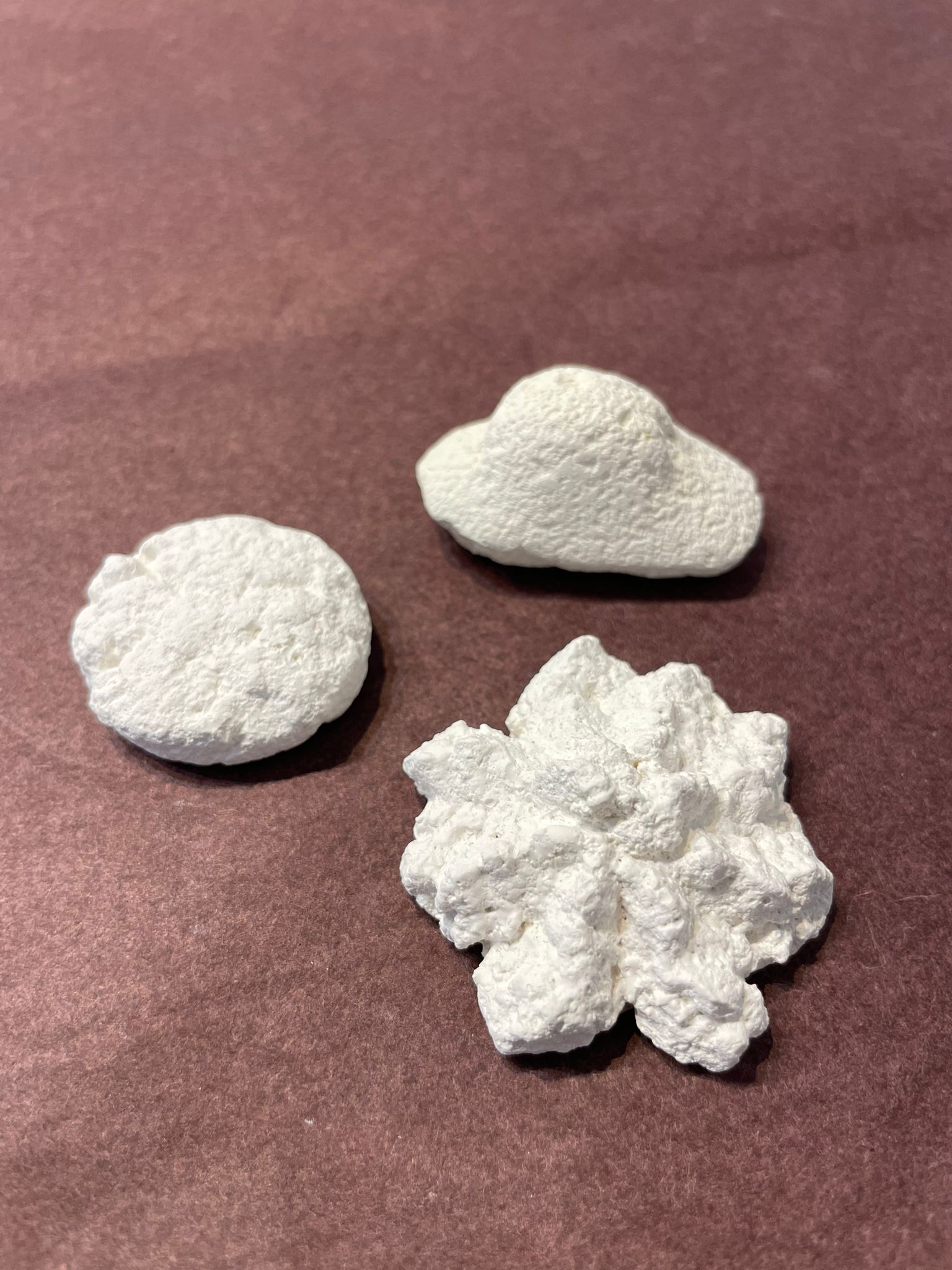 Lot biscuit 1