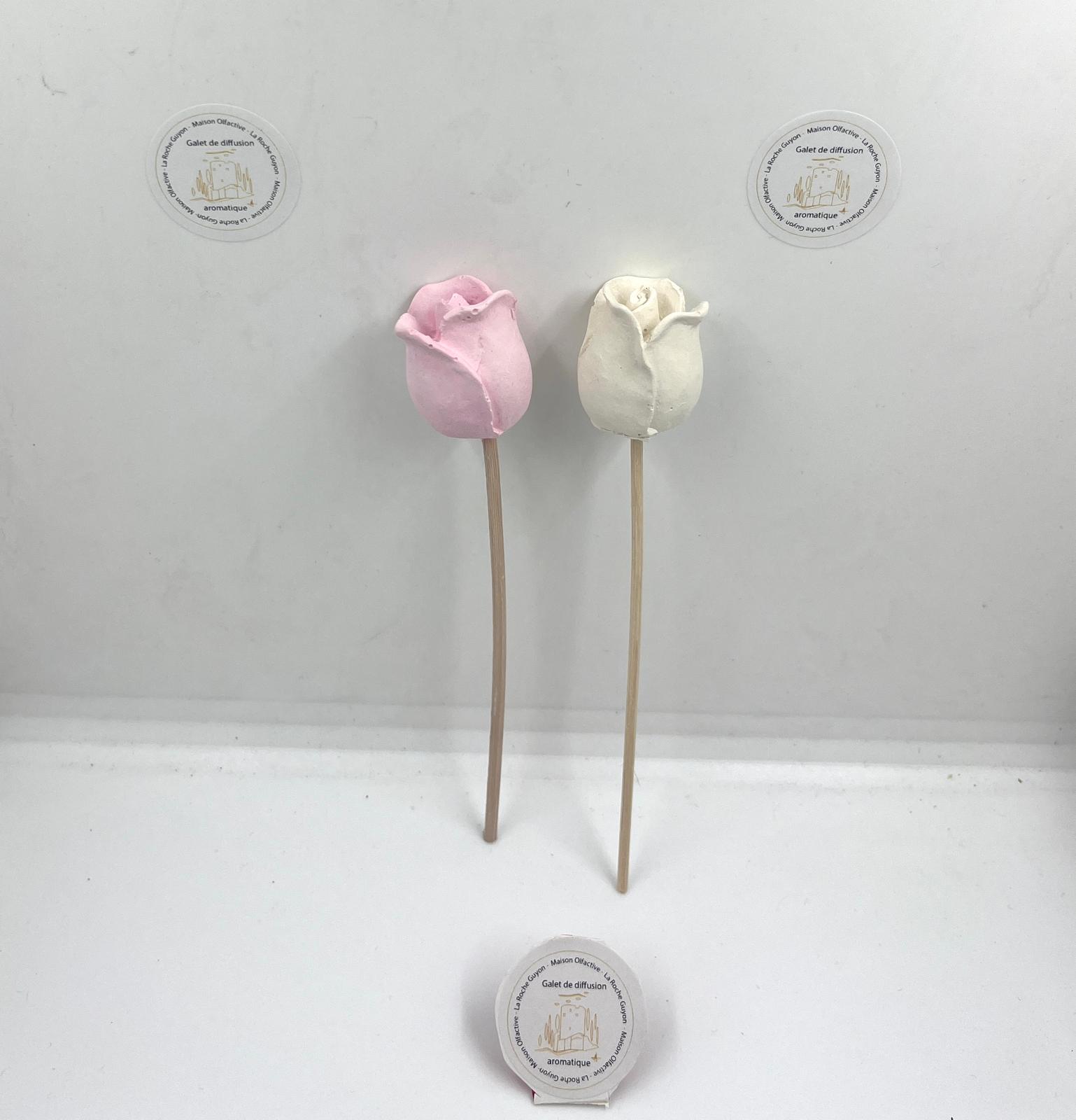 Rose tige 1