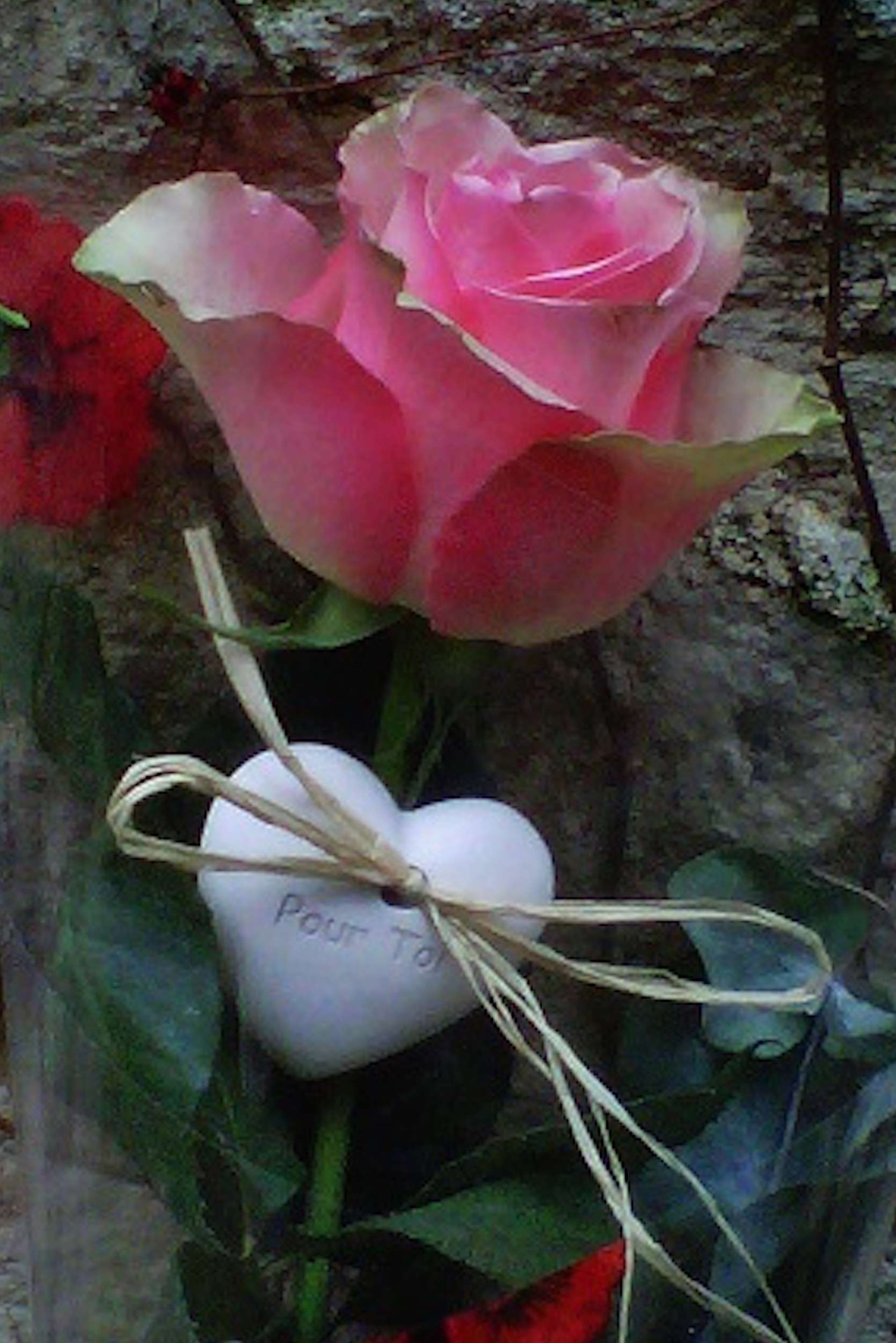 Galet Reliquaire Coeur | L'Éternel