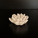Galet_lotus1