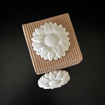 Galet_marguerites2