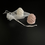 Galet_pomme_de_pin1