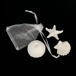 Galet_coquillage