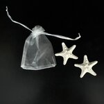Galet_etoile_de_mer
