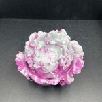 pivoine