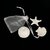 Galet_coquillage