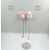 Rose tige 1